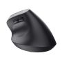 Trust Bayo+ muis Rechtshandig RF-draadloos + Bluetooth Optisch 2400 DPI (25146) thumbnail
