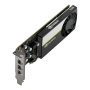 HP NVIDIA T400 (N55780-001) thumbnail