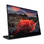 Lenovo ThinkVision M14t computer monitor 35,6 cm (14") 2240 x 1400 Pixels LED Touchscreen Zwart (63FDUAT6WL) thumbnail