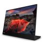 Lenovo ThinkVision M14t computer monitor 35,6 cm (14") 2240 x 1400 Pixels LED Touchscreen Zwart (63FDUAT6WL) thumbnail
