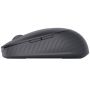 Dell Premier MS7421W Wireless Mouse Graphite (570-BBDM) thumbnail