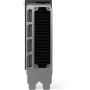 HP NVIDIA RTX 4500 Ada 24 GB 4DP Graphics (8D6C1AA) thumbnail