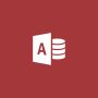 Microsoft MS OVS Access Lic/SA ADD 1Y [NL] (077-03627) thumbnail