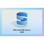 Microsoft MS OVL SQL Svr EE SA ADD 1Y1Y [NL] (810-04881) thumbnail