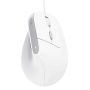 Trust Bayo II muis Kantoor Rechtshandig USB Type-A Optisch 2400 DPI (25397) thumbnail