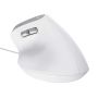 Trust Bayo II muis Kantoor Rechtshandig USB Type-A Optisch 2400 DPI (25397) thumbnail