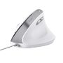 Trust Bayo II muis Kantoor Rechtshandig USB Type-A Optisch 2400 DPI (25397) thumbnail