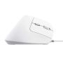 Trust Bayo II muis Kantoor Rechtshandig USB Type-A Optisch 2400 DPI (25397) thumbnail