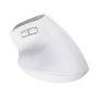 Trust Bayo+ muis Kantoor Rechtshandig RF-draadloos + Bluetooth Optisch 2400 DPI (25399) thumbnail