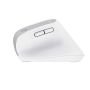 Trust Bayo+ muis Kantoor Rechtshandig RF-draadloos + Bluetooth Optisch 2400 DPI (25399) thumbnail