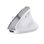 Trust Bayo+ muis Kantoor Rechtshandig RF-draadloos + Bluetooth Optisch 2400 DPI (25399) thumbnail