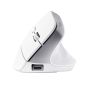 Trust Bayo+ muis Kantoor Rechtshandig RF-draadloos + Bluetooth Optisch 2400 DPI (25399) thumbnail