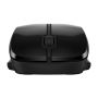 HP SPS-MOUSE HP 250 DUAL (N25651-001) thumbnail