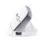 Trust Bayo II muis Kantoor Rechtshandig RF Draadloos Optisch 2400 DPI (25398) thumbnail