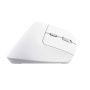 Trust Bayo II muis Kantoor Rechtshandig RF Draadloos Optisch 2400 DPI (25398) thumbnail
