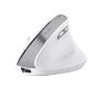 Trust Bayo II muis Kantoor Rechtshandig RF Draadloos Optisch 2400 DPI (25398) thumbnail