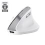 Trust Bayo II muis Kantoor Rechtshandig RF Draadloos Optisch 2400 DPI (25398) thumbnail
