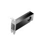 HP NVIDIA RTX PH x2xxx 4mDP Graphics (8D6B8AA) thumbnail
