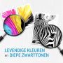 HP 304 originele drie-kleuren inktcartridge (N9K05AE) thumbnail
