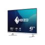 EIZO FlexScan EV4340X-WT LED display 108 cm (42.5") 3840 x 2160 Pixels 4K Ultra HD Wit (EV4340X-WT) thumbnail