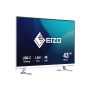 EIZO FlexScan EV4340X-WT LED display 108 cm (42.5") 3840 x 2160 Pixels 4K Ultra HD Wit (EV4340X-WT) thumbnail