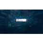 Kingston Technology 2000G NV3 M.2 2280 NVMe SSD (SNV3S/2000G) thumbnail