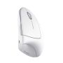 Trust Verto muis Kantoor Rechtshandig RF Draadloos Optisch 1600 DPI (25132) thumbnail