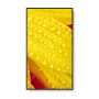 NEC MultiSync M551-2 Kiosk-ontwerp 127 cm (50") LED 4K Ultra HD Zwart Type processor (60006085) thumbnail