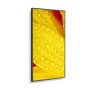 NEC MultiSync M551-2 Kiosk-ontwerp 127 cm (50") LED 4K Ultra HD Zwart Type processor (60006085) thumbnail