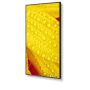 NEC MultiSync M551-2 Kiosk-ontwerp 127 cm (50") LED 4K Ultra HD Zwart Type processor (60006085) thumbnail