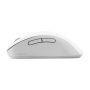 ASUS Wireless Mouse MD102 muis Universeel Rechtshandig RF-draadloos + Bluetooth Optisch 1600 DPI (90XB0900-BMU010) thumbnail