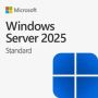 HP Microsoft Windows Server 2025 1 User (P77110-B21) thumbnail