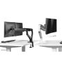Neomounts monitorarm (DS75-450WH2) thumbnail