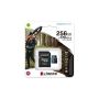 Kingston Technology Canvas Go! Plus 256 GB SD UHS-I Klasse 10 (SDCG3/256GB) thumbnail