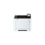 KYOCERA ECOSYS PA2101cwx Kleur 1200 x 1200 DPI A4 Wifi (110C243NL0) thumbnail