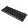 Lenovo Essential toetsenbord Universeel USB QWERTY Amerikaans Engels Zwart (4Y41R64672) thumbnail