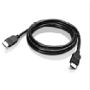 Lenovo 2.0m DVI DVI kabel 2 m DVI-D Zwart (0B47071) thumbnail