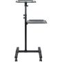 StarTech.com Beamertafel - Stevige Verrijdbare Laptop en Projectietafel (2x 10kg/schap) - Presentatiewagen/Computer Trolley/AV Projector Stand - In Hoogte Verstelbaar / Zwenkwielen met Rem (ADJPROJCART) thumbnail