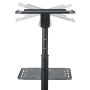 StarTech.com Beamertafel - Stevige Verrijdbare Laptop en Projectietafel (2x 10kg/schap) - Presentatiewagen/Computer Trolley/AV Projector Stand - In Hoogte Verstelbaar / Zwenkwielen met Rem (ADJPROJCART) thumbnail