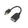Lenovo 4X90Q93975 video kabel adapter Mini DisplayPort DisplayPort Zwart (4X90Q93975) thumbnail