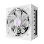 GIGABYTE AORUS ELITE P1000W ICE power supply unit 1000 W 20+4 pin ATX ATX Wit (GP-AE1000PMPG5ICE) thumbnail