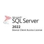 Microsoft SQL Server 2022 Device Client Access License (359-05410) thumbnail