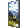 Hisense 65WF00455H beeldkrant Digitale signage flatscreen 165,1 cm (65") LED Wifi 4000 cd/m² Full HD Zwart 24/7 (65WF45H) thumbnail