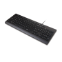 Lenovo Essential Wired Keyboard Frans (4Y41R64644) thumbnail