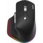 Acer Easy Fit Mouse​ - Retail pack muis Rechtshandig RF-draadloos + Bluetooth 4000 DPI (HP.EXPBG.021) thumbnail