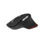 Acer Easy Fit Mouse​ - Retail pack muis Rechtshandig RF-draadloos + Bluetooth 4000 DPI (HP.EXPBG.021) thumbnail