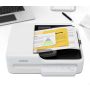 Epson WorkForce DS-1730 Flatbed-/ADF-scanner 1200 x 1200 DPI A4 Zwart, Wit (B11B273401) thumbnail