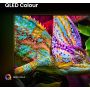 Hisense 50E77Q PRO 127 cm (50") 4K Ultra HD Smart TV Wifi Zwart (50E77QPRO) thumbnail