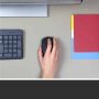 Logitech M171 Black-K muis Ambidextrous RF Draadloos Optisch 1000 DPI (910-004424) thumbnail