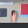 Logitech M171 Black-K muis Ambidextrous RF Draadloos Optisch 1000 DPI (910-004424) thumbnail